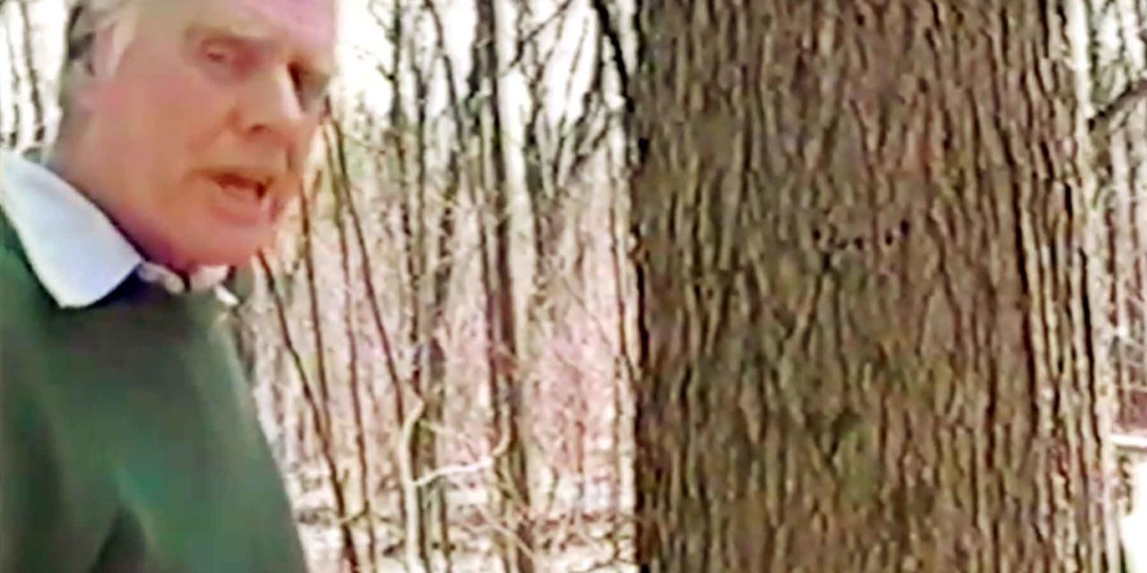 Maple Syrup Season