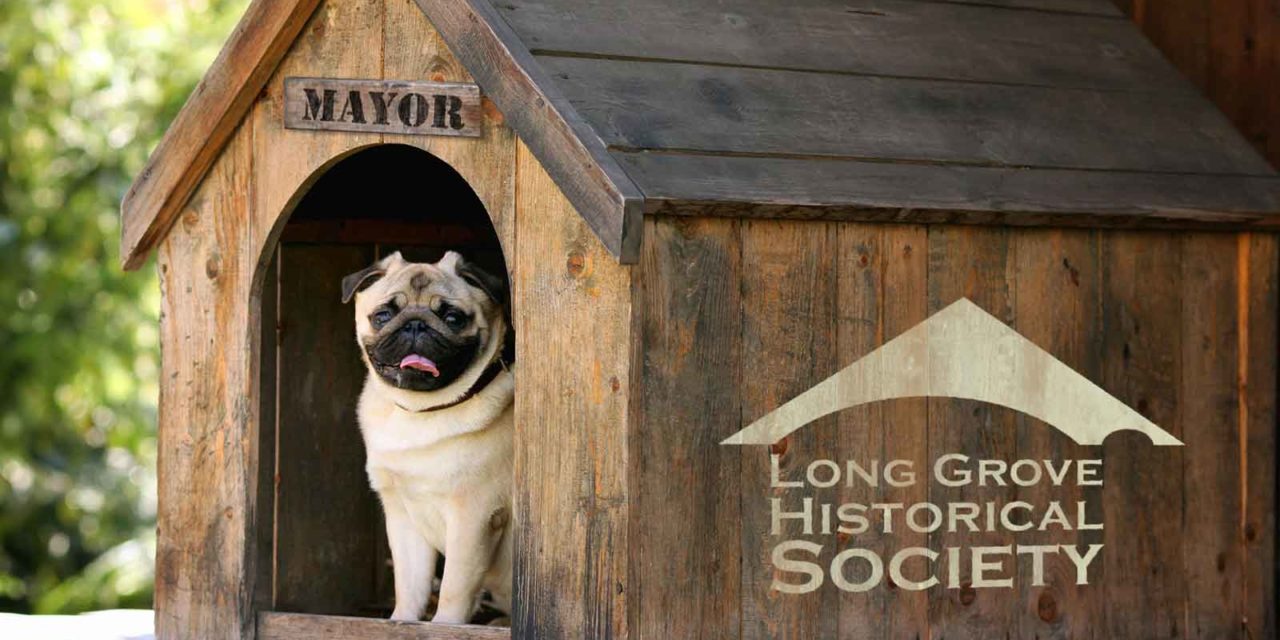 Long Grove Dog Mayor Election – 2021