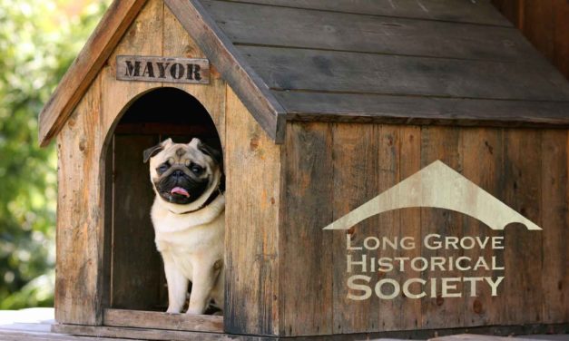Long Grove Dog Mayor Election – 2021