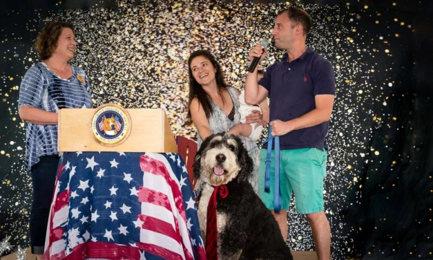 Long Grove Elects First Ever Dog Mayor
